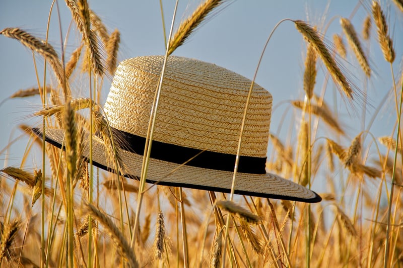 Hats and Caps